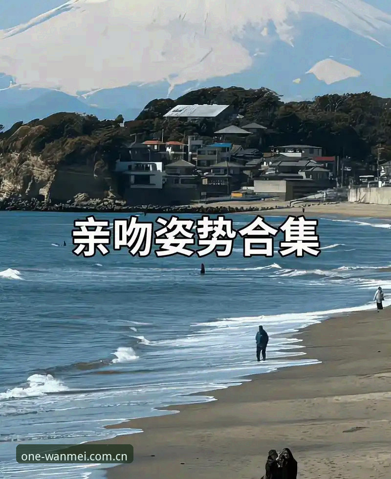 捕捉世界杯真情瞬间 观赛拥吻照走红背后的五大实用观赛必备知识